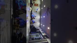 Wally Hatchet's: Live Thanksgiving 2019 3/16) 4:43