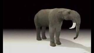 Prehistoric Documentary