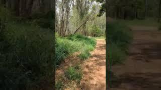 #Rithu R Menon# Drive# Our own Phase2 township# its not a forest# our Campus# Beautiful