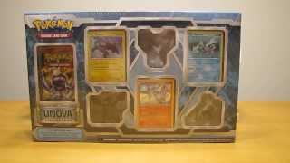 Legendary Dragons of Unova Collection Pokemon Box Opening