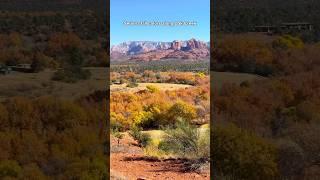 Mid November fall colors️ #sedona #arizonahiking