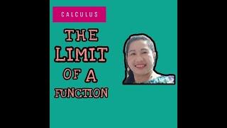 The Limit of a Function/Teacher Espie