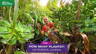 What grows in our UK tropical garden - OVER 50 PLANT NAMES!