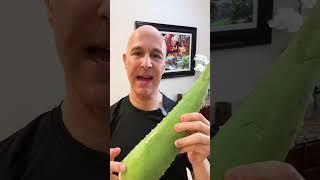 Aloe Vera for Digestive System!  Dr. Mandell