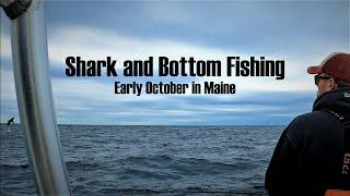 Thresher Shark and Bottom fishing, early October in Maine. Haddock, Pollock and Blue Sharks.