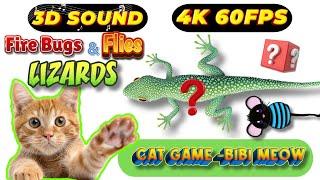 CAT GAMES TOM TV & BiBi | Ultimate Compilation Catching The LIZARDS, Flies, FireBugs11 HOURVol 102