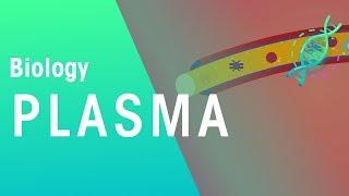 Plasma | Physiology | Biology | FuseSchool