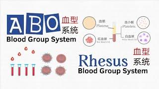 血型分类系统 Blood Group System ｜ABO血型系统 ＋Rh血型系统｜你的血型能不能救人？世界上最多的血型是？