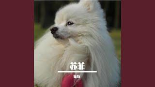 彩云之巅