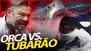 BATALHA DOS MAIORES PREDADORES DOS OCEANOS! | RICHARD RASMUSSEN