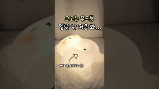 코고는 무드등..? 일단 난 처음 봐