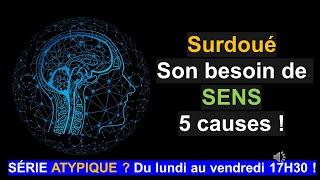 Pourquoi les surdoués ont-ils tellement besoin de sens ?