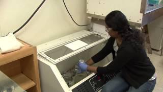 Research Finds Bright Future For Alternative Energy With Greener Solar Cells