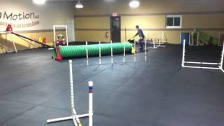 Agility Teams Training at DIM