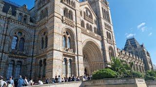 Natural History Museum, London | Full 4k Walkthrough Tour August 2023 |