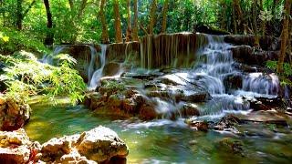 Relaxing waterfall sounds, Cascade waterfall in jungle. White noise for sleep, relax, study