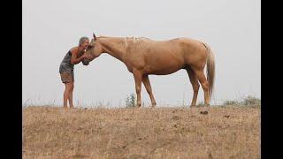 IAFFF 2023 Trailer - International Animal Future Film Festival