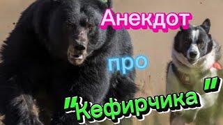 Анекдот про "Кефирчика" 