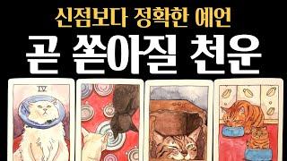 [타로] 곧 현실이 됩니다하늘이 움직이는 3개월 운명 흐름