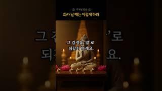 화를 다스리는 방법, 화가 날때는 이렇게 하라 | 부처님의 말씀 | 침묵의지혜 | 치유의말씀 | 부처님가르침
