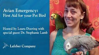 Avian Emergency: First Aid for your Pet Bird Part 1