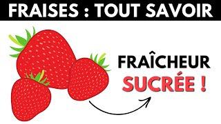 Fraise : ses dangers et bienfaits pour la santé - Dr Santé