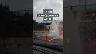 новая достопримечательность в городе Сочи. Фонтанчик с дельфином.Самый настоящий. #сочи#юмор#фонтан