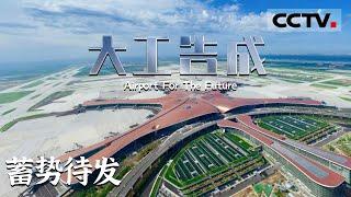 《大工告成 北京大兴国际机场》第一集 “凤凰”展翅亮出新国门！北京大兴国际机场投运蓄势待发 【CCTV纪录】