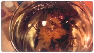 BLOOMING TEA- Plantrip Cha