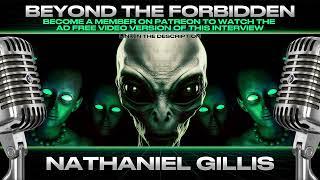 The Ancient Non Human Spirit Realm, Disembodied Souls & Conjuring NDE's w/ Nathaniel Gillis
