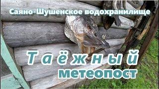 Как живут люди в тайге! Таёжный метеопост! Реальная_рыбалка