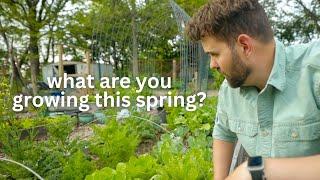 Full Spring Garden Tour 2024. Deep mulch, raised beds, and starting a new no-till garden.