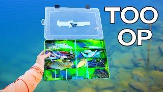 Fall Tackle Box 2.0