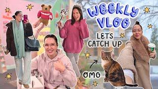 WEEKLY VLOG 20  A VERY FULL VLOG  we got a kitten, chicago, christmas, new year + skunk attack!