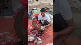 Amazing Big Telapia Fish Cutting Skills #fish #fishcutting #fishcuttingskill #youtubeshorts