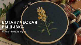 ботаническая вышивка  [успокаивающее видео]