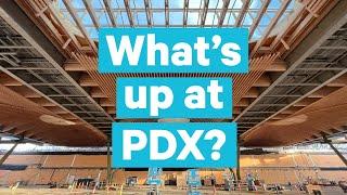 What’s Up at PDX?