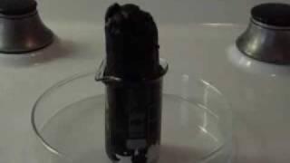 Chemistry experiment 3. - Dehydration of sugar.