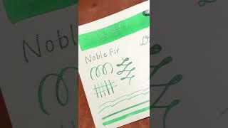 【Day 3 】2024 Diamine Inkvent calendar | Noble Fir | 3 日のインク #shorts #文房具 #インク沼 #ink #クリスマス