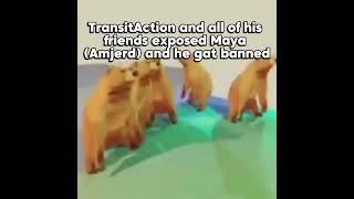 @TransitAction