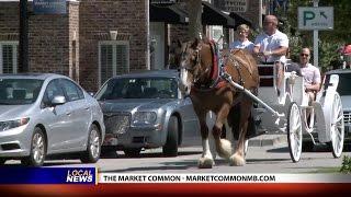 The Market Common's Carriage Rides and Movies Under the Stars - Local News