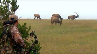 Team Primos Hunting Big Rutting Bull Elk in  New Mexico PART 1