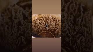 تعلم قراءة الفنجان او تعلم تبصير بالفنجان ، يوجد بالفنجان رموز وكل رمز له معنىاذا شفت رقم 8 بالفنجان