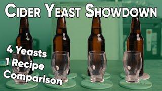 CIDER YEAST SHOWDOWN! Four yeasts tested, which one was the best?