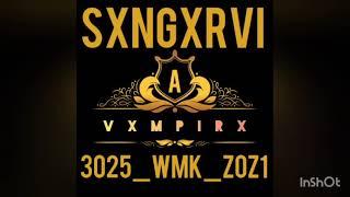 GOTTA FILLING REMIX Z0Z1 SXNGXRVI 3025 WMK