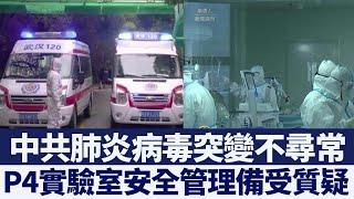 台大公衛權威：中共肺炎病毒突變不尋常或「人造」｜新唐人亞太電視｜20200223