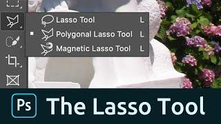 How to Use the Lasso Tool In Photoshop