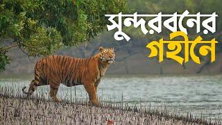 সুন্দরবনের গহীনে যাওয়ার গল্প  World Largest Mangrove Forest | Dhaka to Sundarban | Full Episode