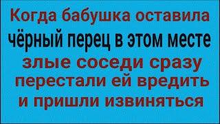 Сильнейший ритуал с ЧЁРНЫМ ПЕРЦЕМ от врагов и злых соседей