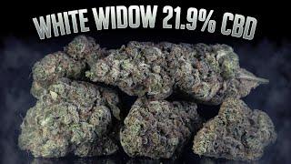 WHITE WIDOW 21.9% CBD | Natural Strains
